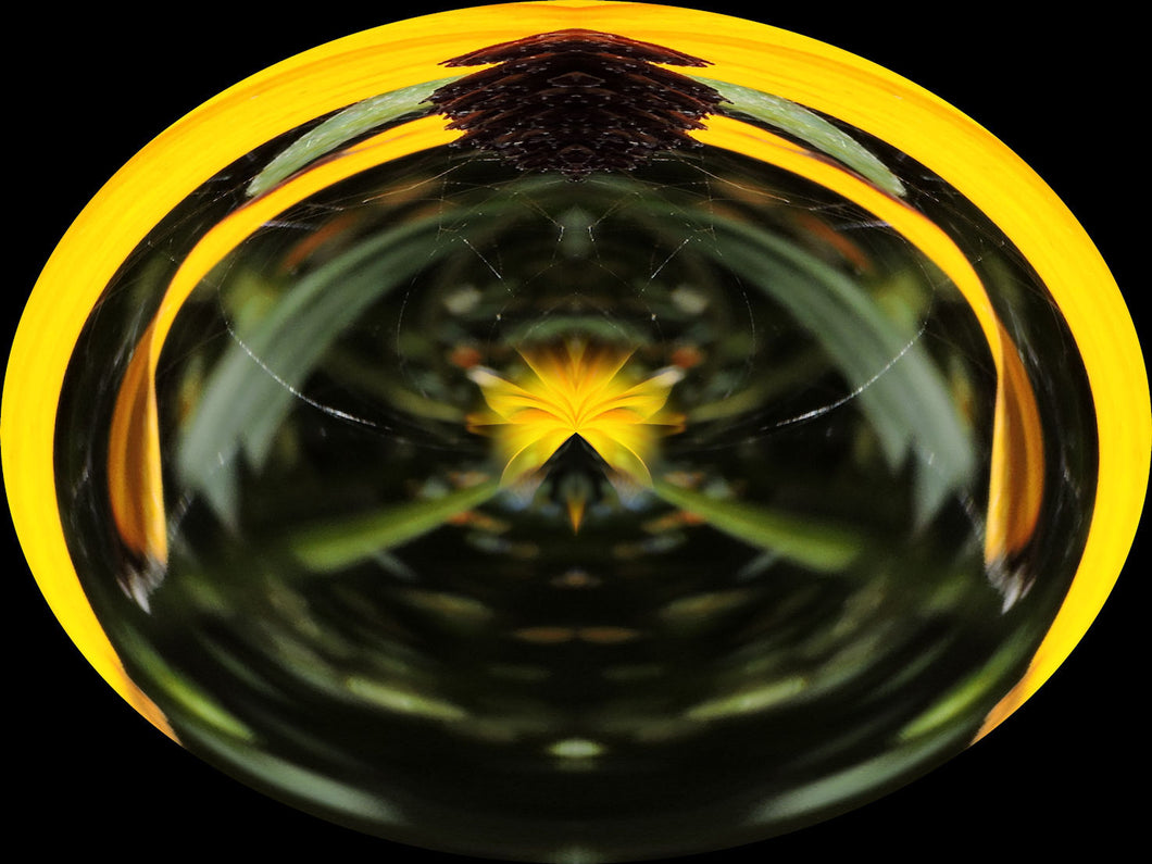 Greta's Elixirs - Gout Care Ethereal Elixir - by Teresa Rubiolo