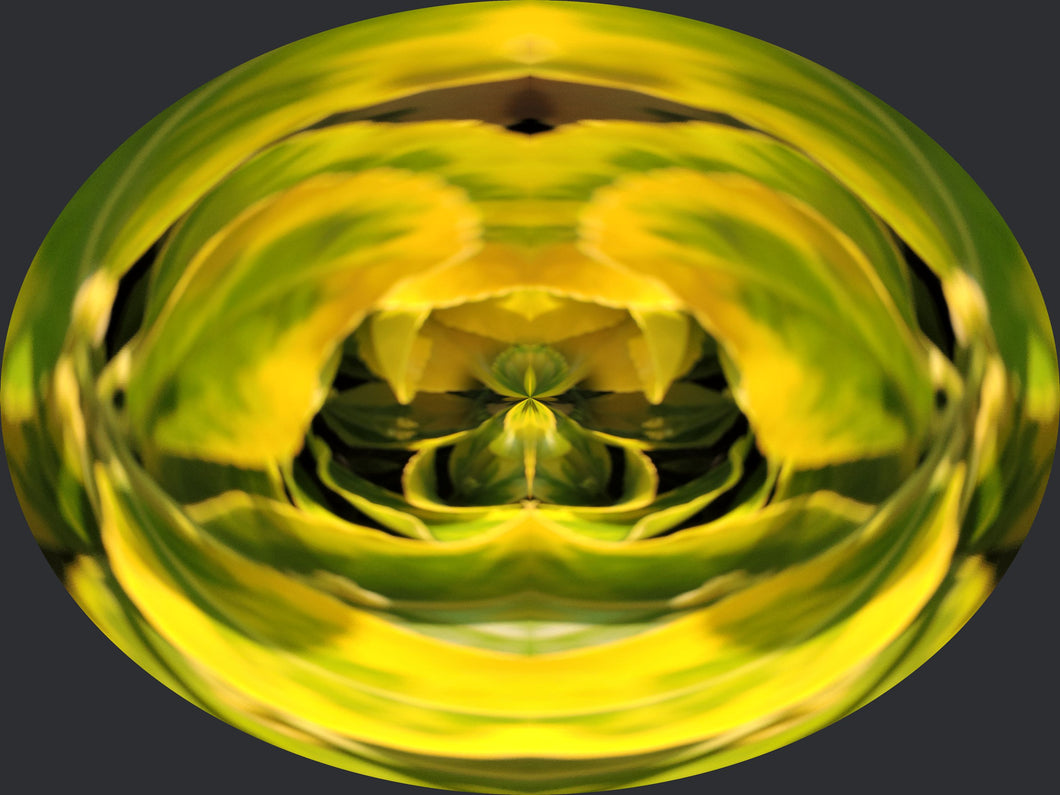 CZ Card - Healing Powers Mastery - by Cuzco Artist Channeller