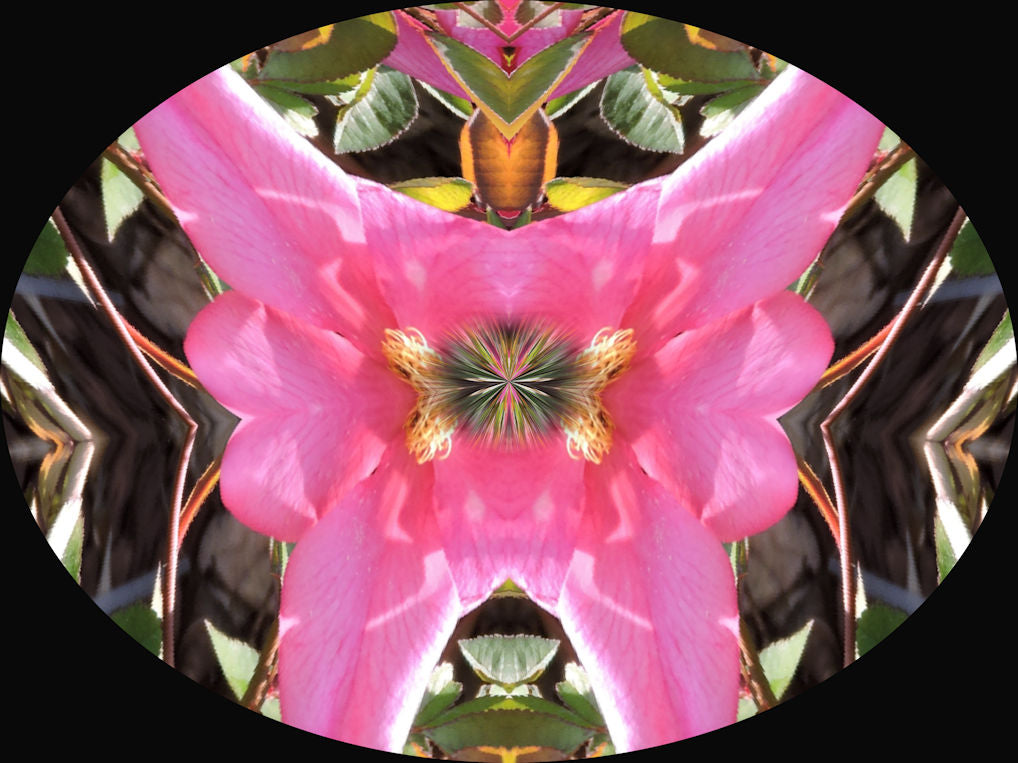 Concentration Energy Empowerment by Nicole Lanning