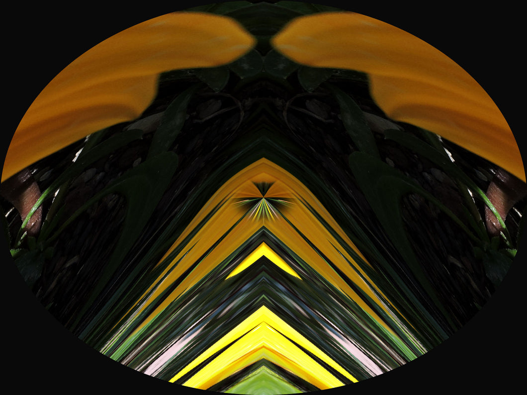 Red Jasper Essence by Ole Gabrielsen