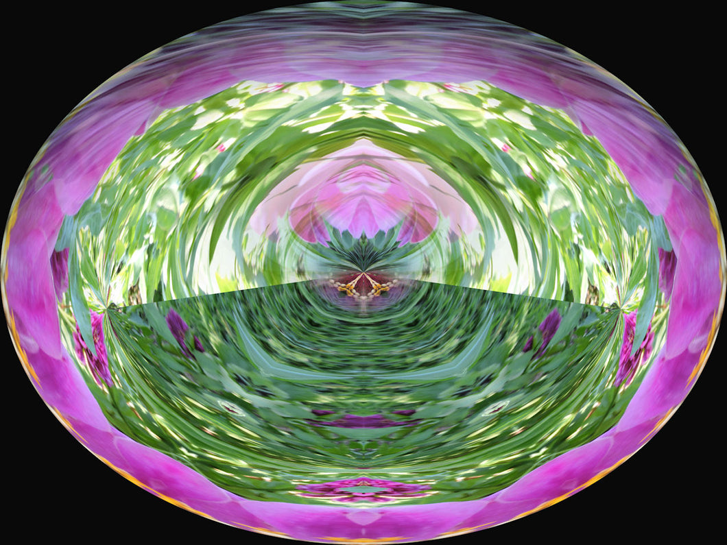Inner Light Reiki by Stephanie Brail