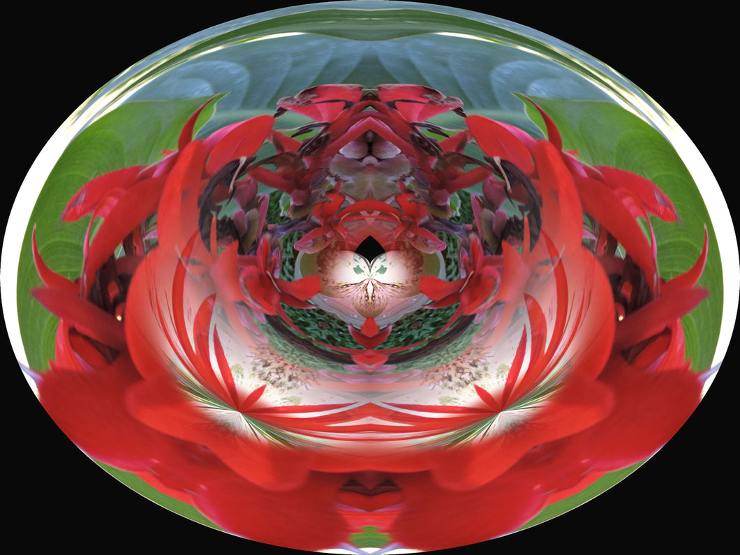 Vitamin and Mineral Assimilation Healing by Tracey Hansen and Linda Colibert